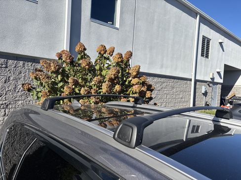 Used 2022 Hyundai Santa Fe SEL Premium image 12