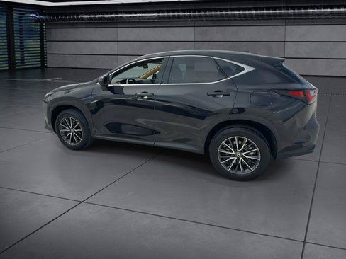 Certified 2024 Lexus NX 250 FWD w/ Cold Area Package image 6