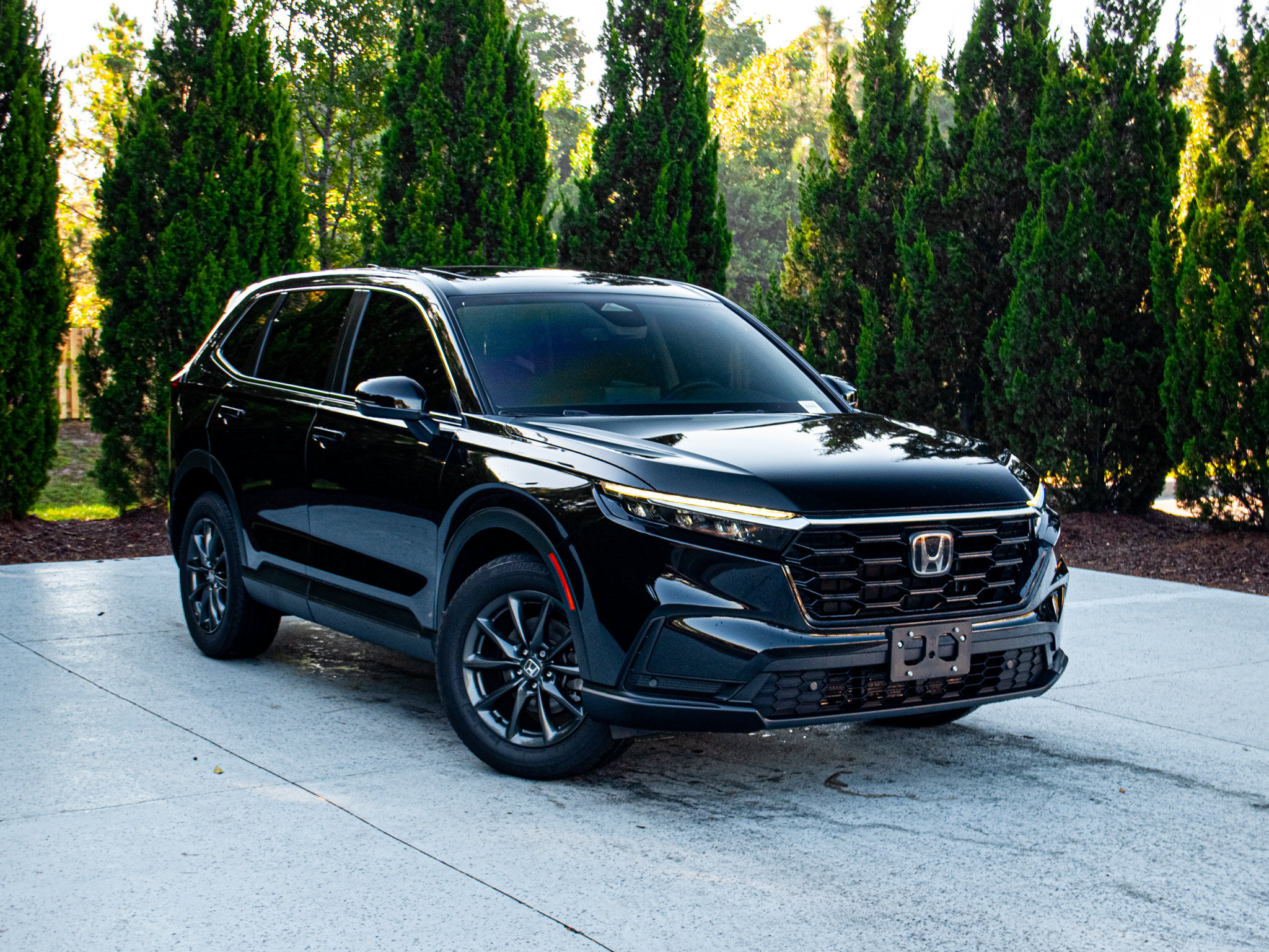 Used 2026 Honda CR-V EX-L image 2