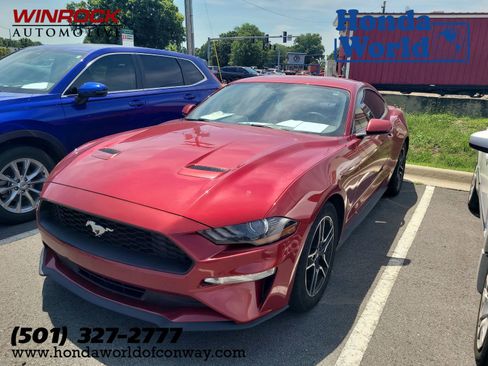 Used 2019 Ford Mustang Premium w/ Equipment Group 201A RWD image 1