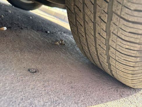 Used 2024 Chrysler Pacifica Touring-L image 16