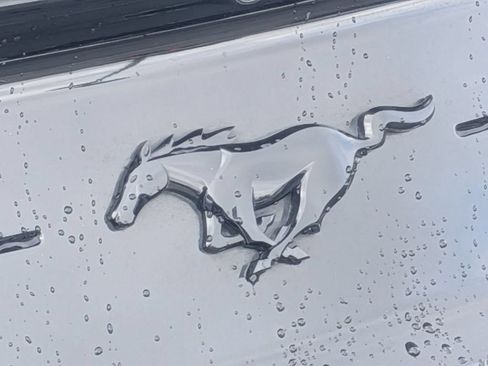 Used 2019 Ford Mustang Premium w/ Equipment Group 201A RWD image 11