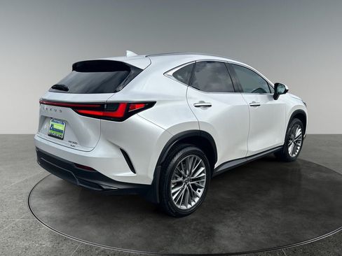 Used 2025 Lexus NX 350 AWD w/ Cold Area Package image 9