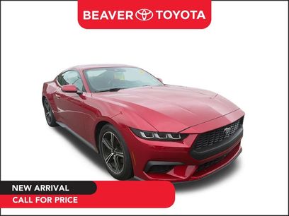 Used 2024 Ford Mustang Premium