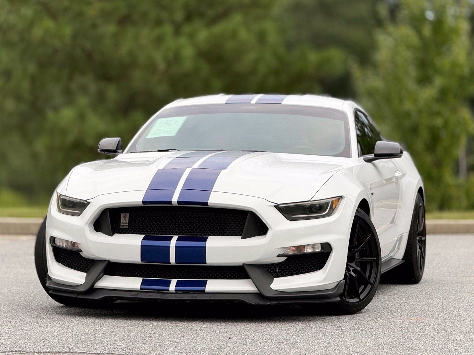 Used 2016 Ford Mustang Shelby GT350 w/ Technology Package RWD image 2