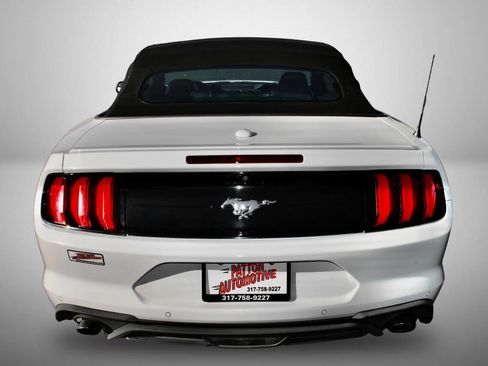 Used 2019 Ford Mustang Premium w/ Equipment Group 201A image 6