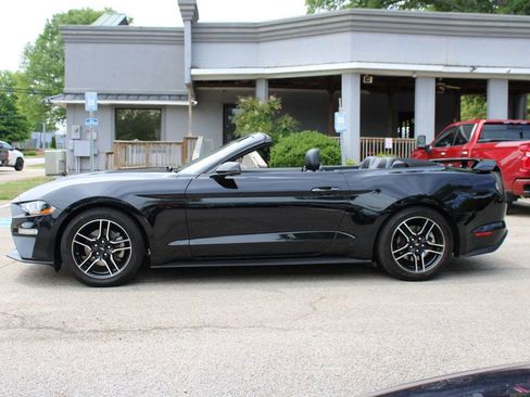 Used 2020 Ford Mustang Premium RWD image 7