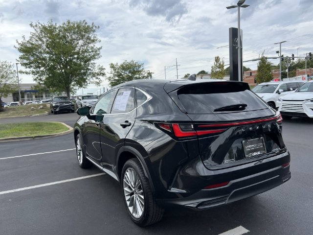 Certified 2025 Lexus NX 350h AWD w/ Cold Area Package image 5