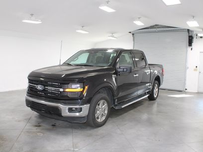 Used 2025 Ford F150 XLT w/ Equipment Group 301A Standard