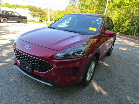 Used 2025 Ford Escape ST-Line Select AWD/4WD image 5