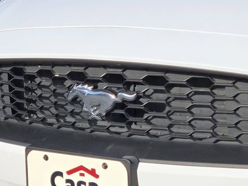 Used 2019 Ford Mustang Premium w/ Equipment Group 201A image 7