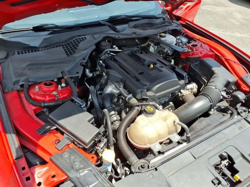 Used 2019 Ford Mustang Premium RWD image 29