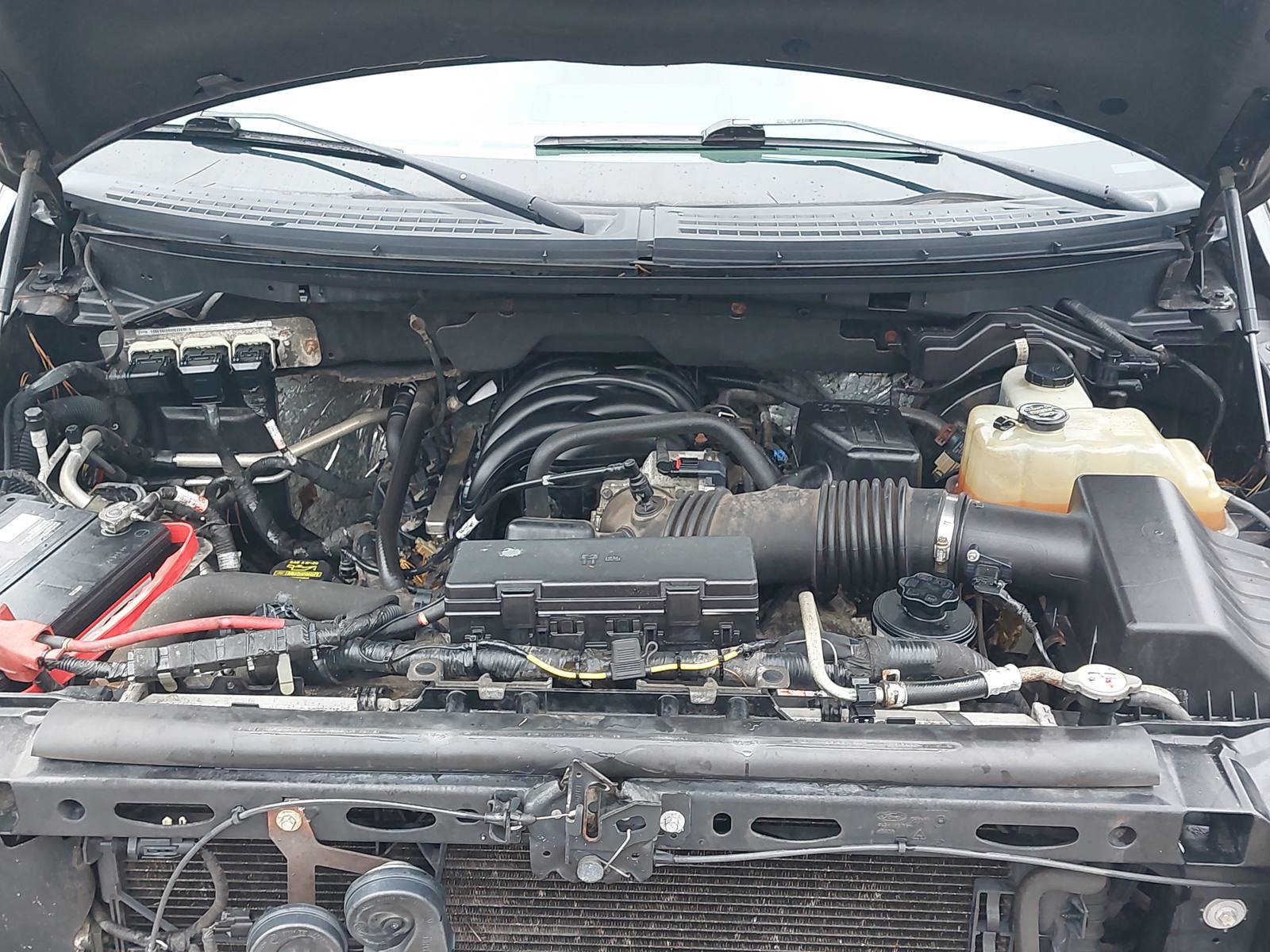 Used 2010 Ford F150 XLT AWD/4WD image 26