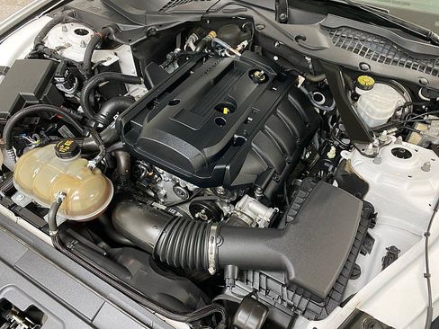 Used 2019 Ford Mustang Premium image 15