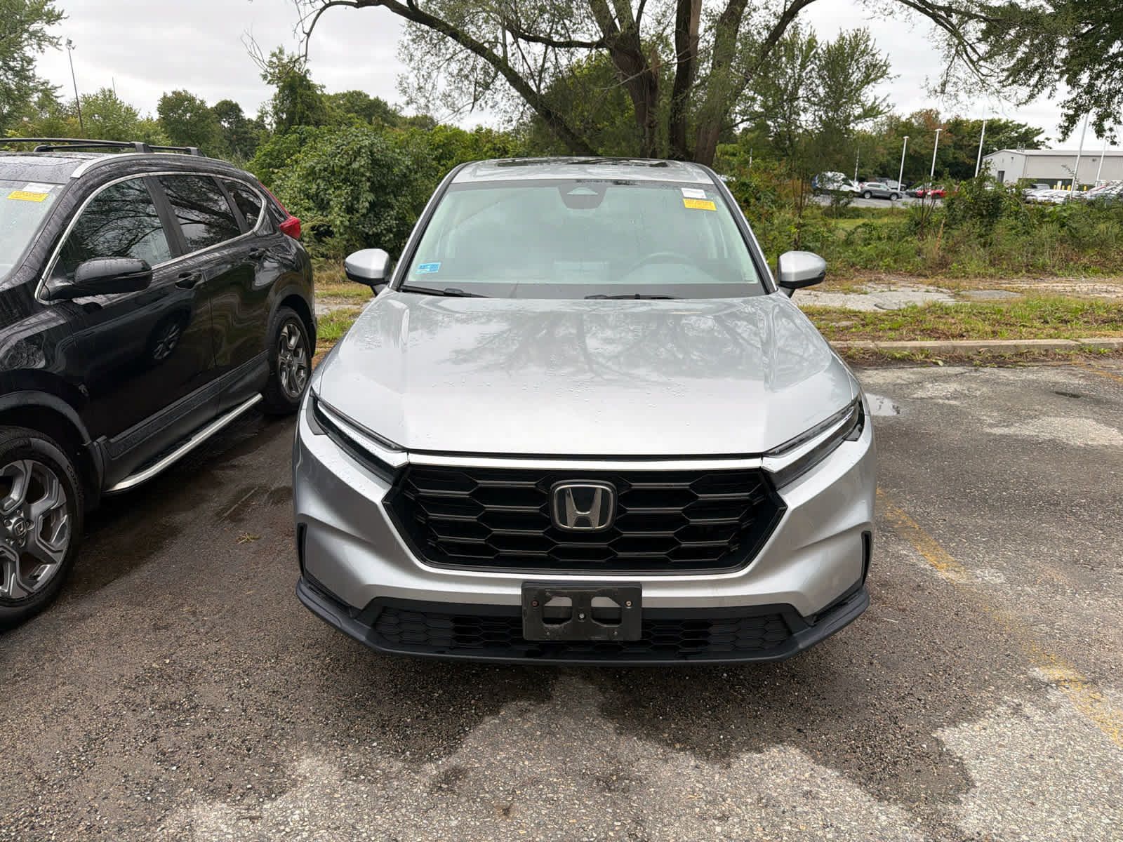 Used 2024 Honda CR-V EX image 6