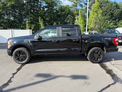 Used 2022 Ford F150 XL w/ STX Black Appearance Package AWD/4WD image 1