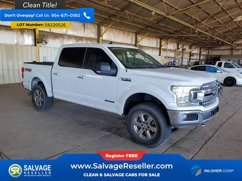 Used 2019 Ford F150 XLT w/ Equipment Group 302A Luxury AWD/4WD image 5