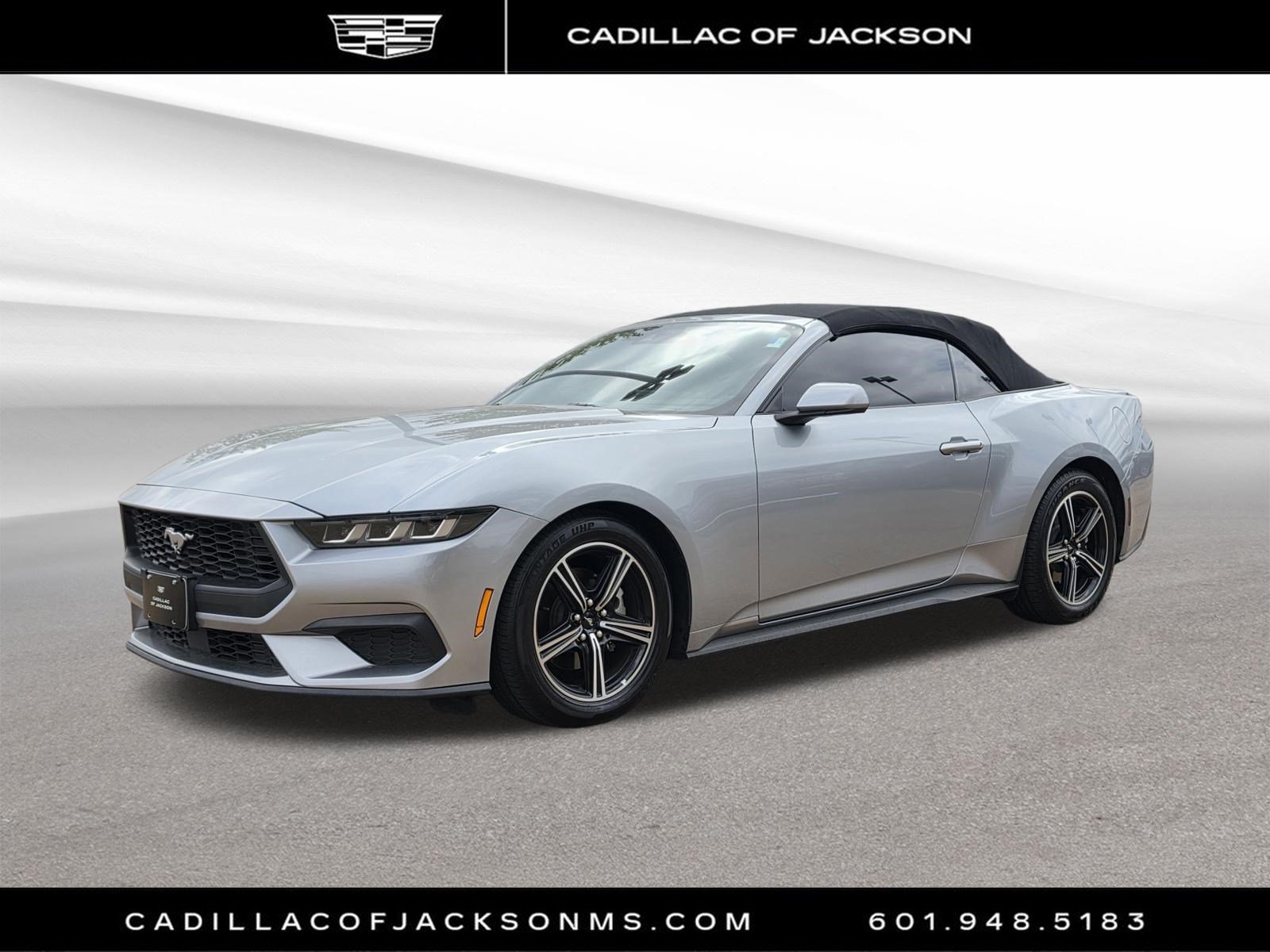 Used 2025 Ford Mustang Premium RWD image 1