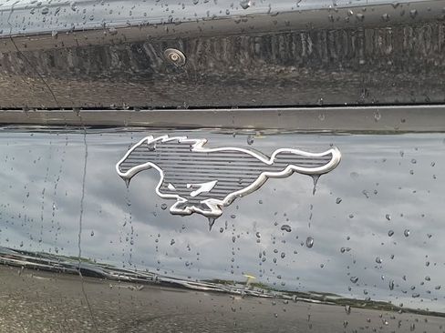 New 2026 Ford Mustang Mach-E Premium RWD image 10