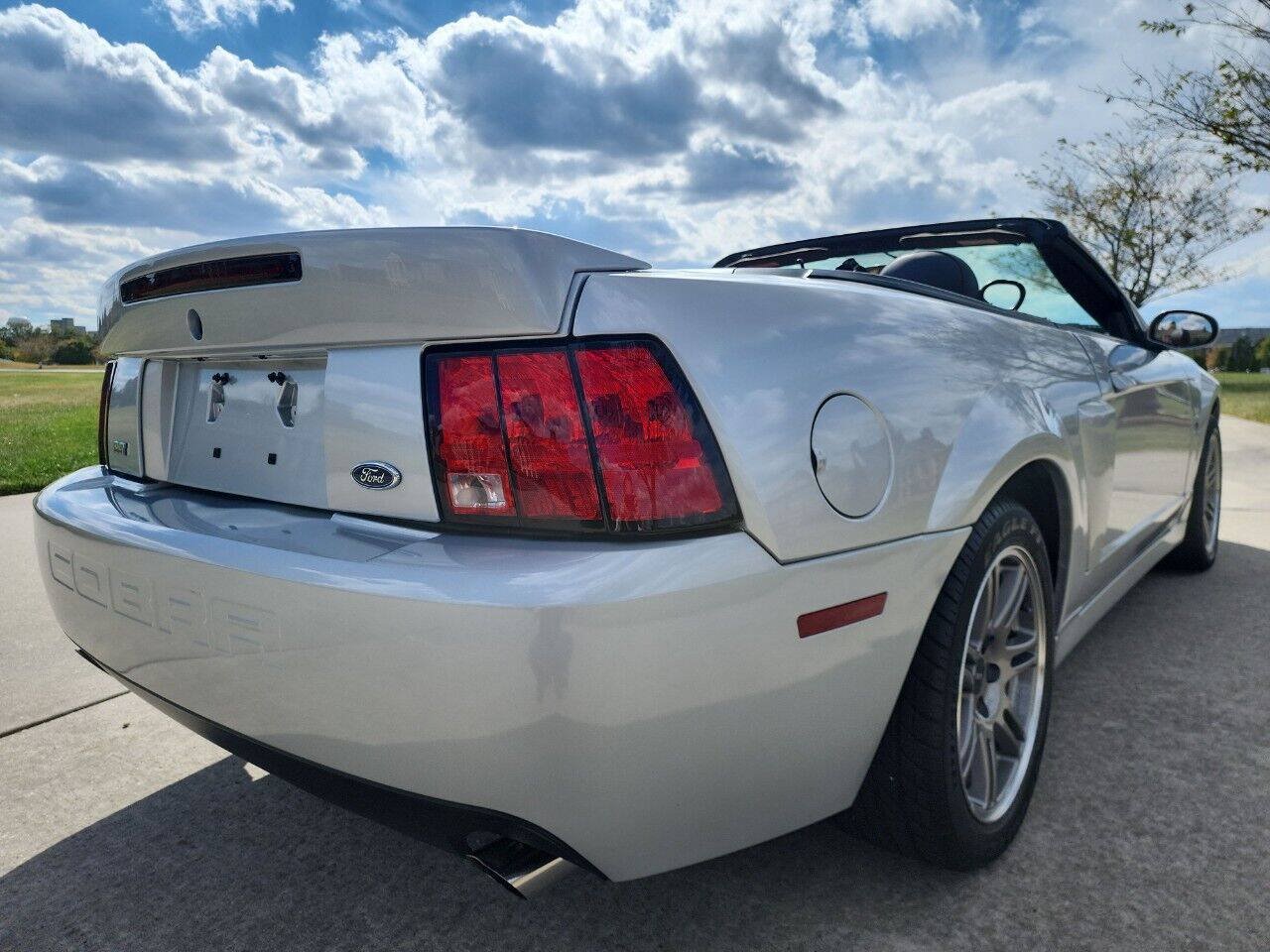 Used 2003 Ford Mustang Cobra RWD image 18