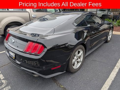 Used 2019 Ford Mustang Coupe RWD image 3
