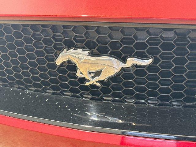 Used 2019 Ford Mustang GT Premium w/ Equipment Group 401A RWD image 21