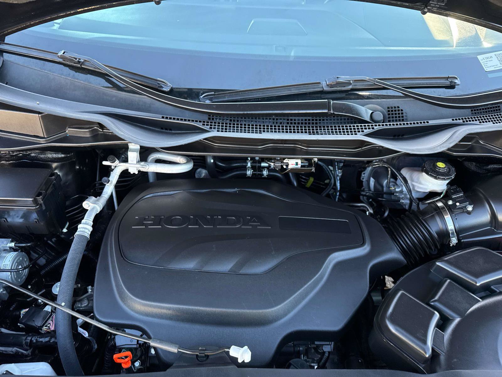 Used 2025 Honda Odyssey Sport-L image 10