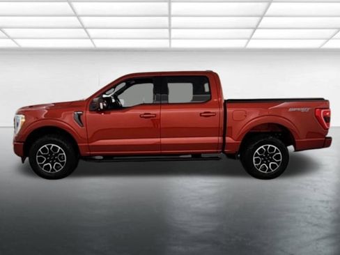 Used 2023 Ford F150 XLT w/ Equipment Group 302A High AWD/4WD image 5