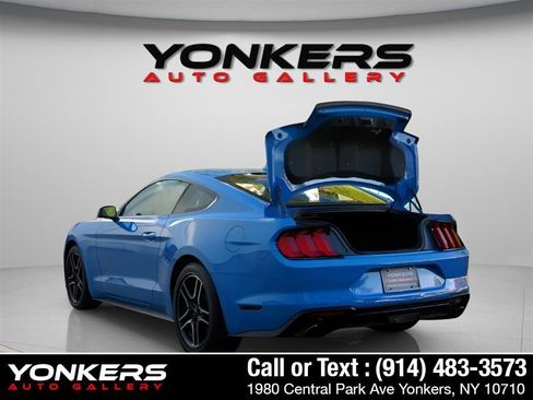 Used 2023 Ford Mustang Premium image 2