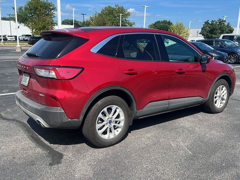 Used 2020 Ford Escape SE AWD/4WD image 5