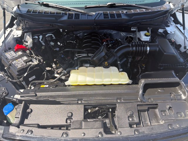 Used 2025 Ford F150 XLT w/ Equipment Group 301A Standard AWD/4WD image 17