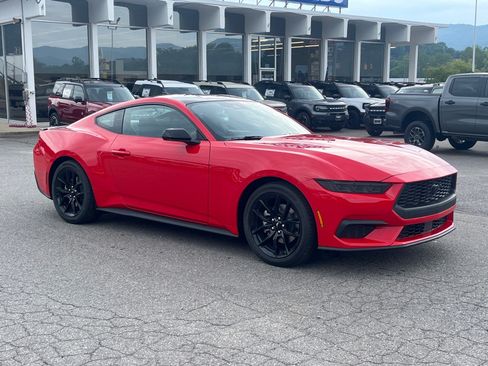 New 2026 Ford Mustang Coupe w/ Mustang Nite Pony Package RWD image 1