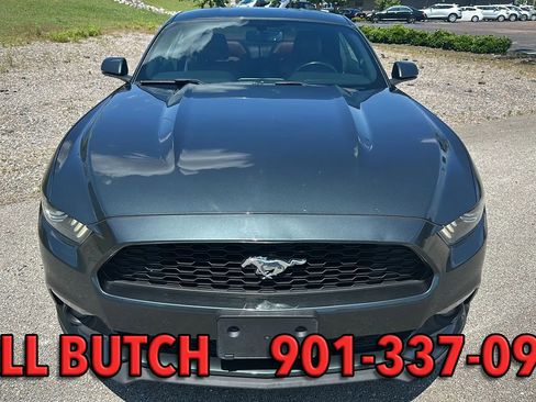 Used 2015 Ford Mustang Premium RWD image 3