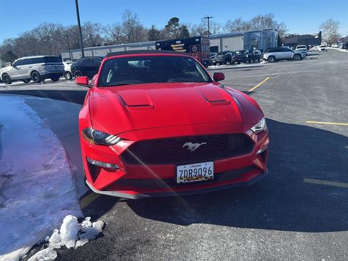 Used 2018 Ford Mustang Premium w/ Equipment Group 201A image 4