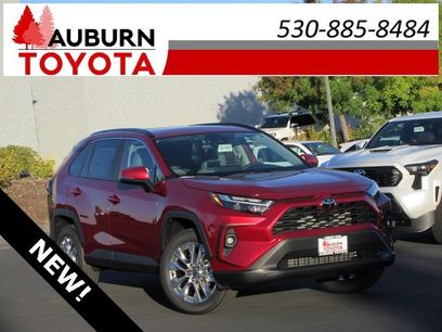 New 2025 Toyota RAV4 XLE Premium