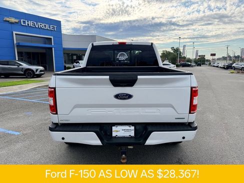 Used 2019 Ford F150 XLT w/ Equipment Group 302A Luxury AWD/4WD image 5