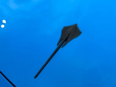 Used 2022 Chevrolet Corvette Stingray Premium Cpe w/ Z51 Performance Package RWD image 35