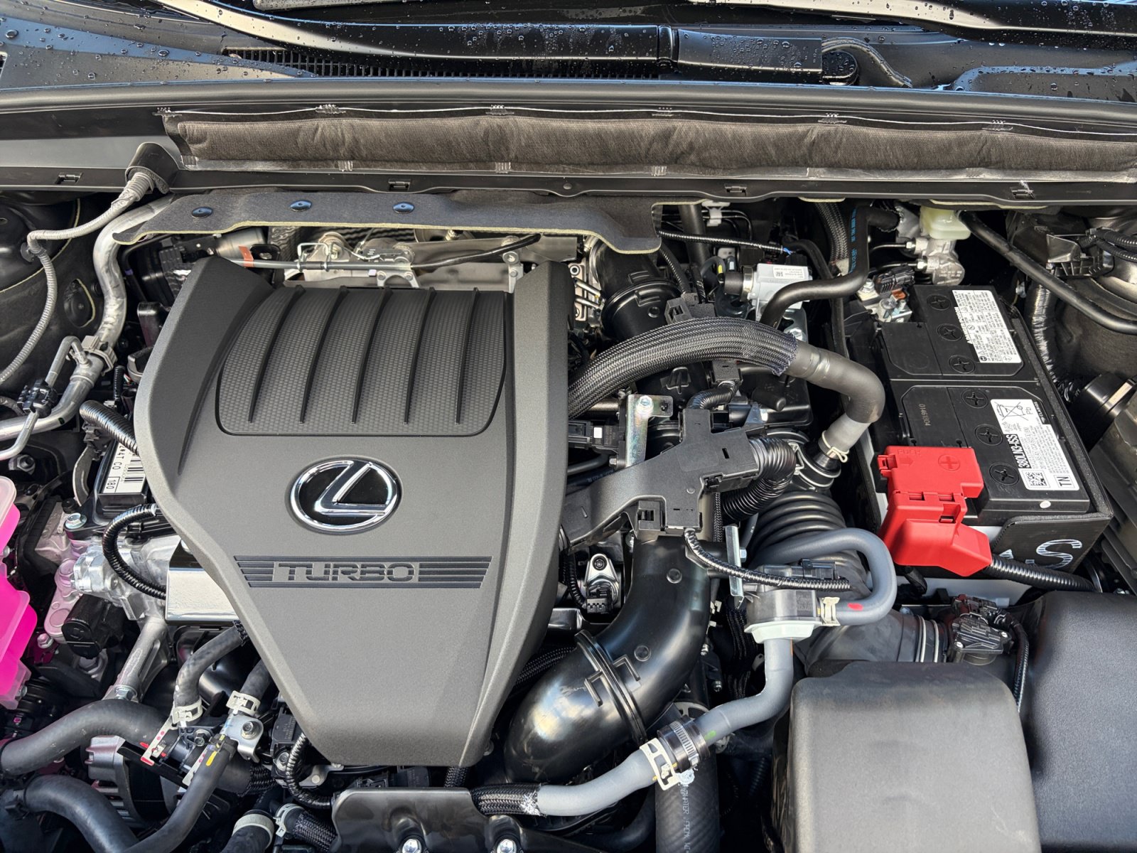 New 2026 Lexus RX 350 AWD w/ Cold Area Package image 21