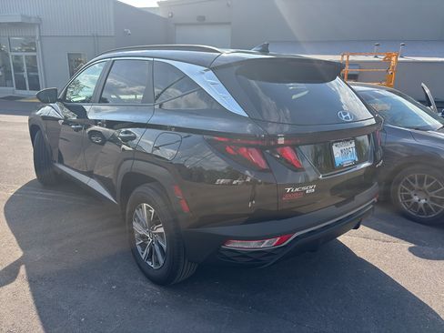 Used 2024 Hyundai Tucson Blue image 4
