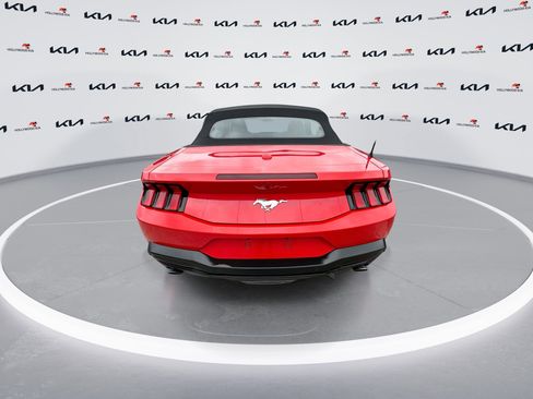 Used 2024 Ford Mustang EcoBoost image 7