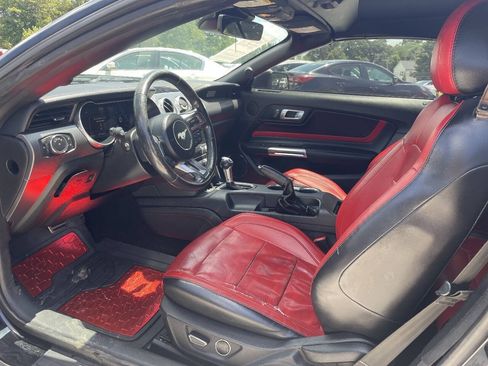 Used 2019 Ford Mustang Premium w/ Equipment Group 201A RWD image 11