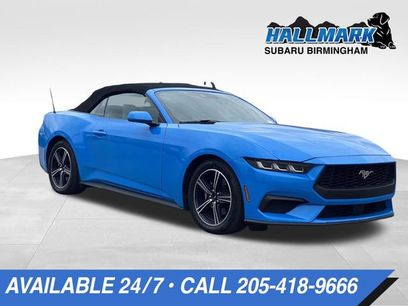 Used 2024 Ford Mustang Premium