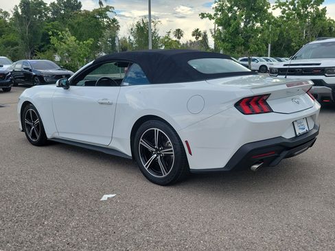 Used 2024 Ford Mustang Premium RWD image 4