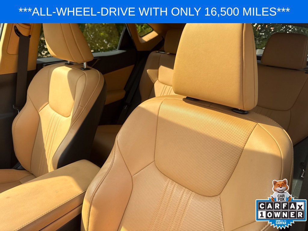 Used 2024 Lexus NX 350 AWD w/ Cold Area Package image 13