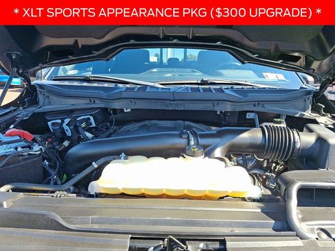 Used 2022 Ford F150 XLT w/ Equipment Group 302A High image 27