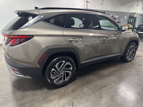 Used 2025 Hyundai Tucson Limited image 3