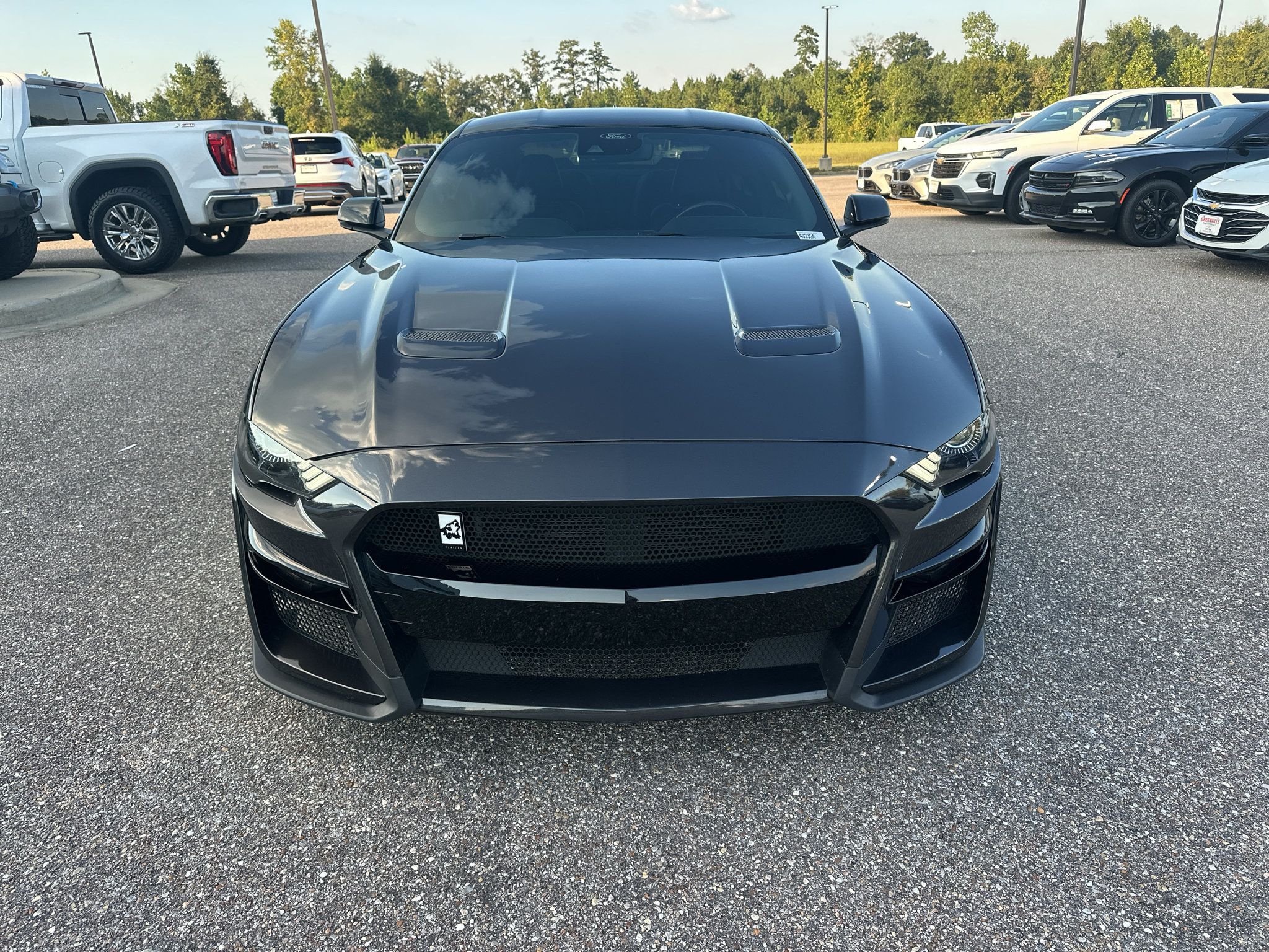 Used 2022 Ford Mustang GT Premium w/ Equipment Group 401A RWD image 2
