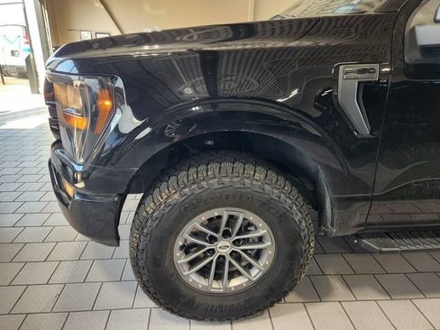 Used 2023 Ford F150 XL w/ STX Appearance Package RWD image 7