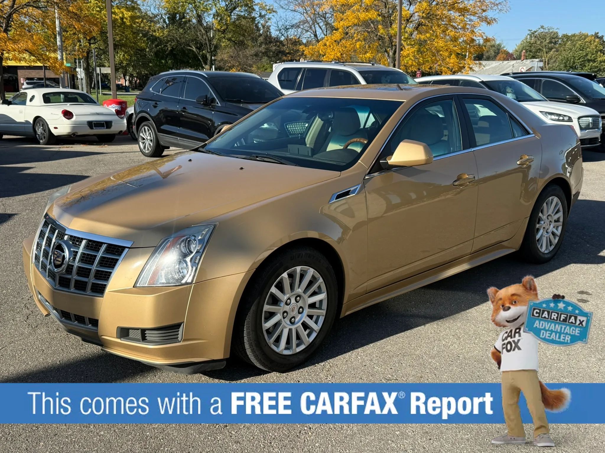 Used 2013 Cadillac CTS Luxury w/ Wood Trim Package AWD/4WD image 1