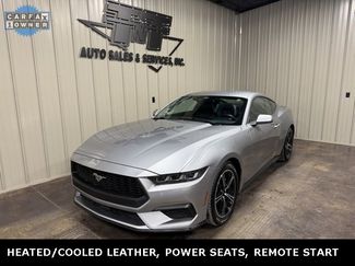 Used 2024 Ford Mustang Premium video 1
